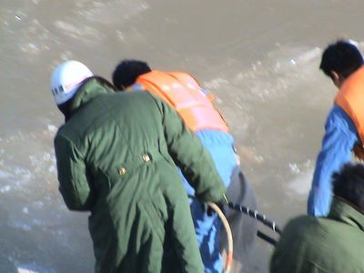 青海潜水技术服务中心 西北潜水领域的专业网络技术服务先锋