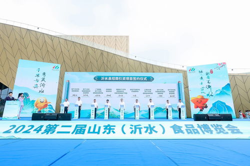 共赴美食之约 第二届山东沂水食品博览会开幕，企业形象策划服务助力产业腾飞